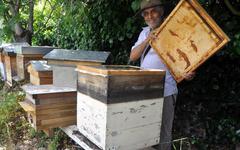 Devenu apiculteur sur le tard, le passionné et passionnant Francis Touzy dévoilera le monde des abeilles dimanche à Pamiers