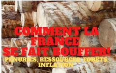 « Comment la France se fait bouffer !!! » L’édito de Charles SANNAT